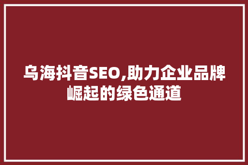 乌海抖音SEO,助力企业品牌崛起的绿色通道