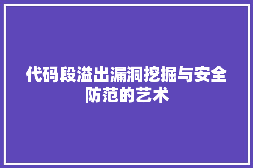 代码段溢出漏洞挖掘与安全防范的艺术