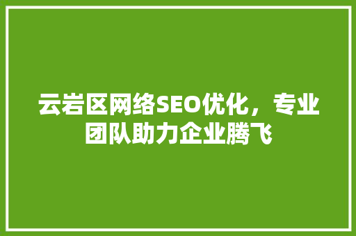 云岩区网络SEO优化，专业团队助力企业腾飞  第1张