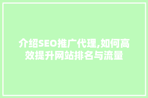 介绍SEO推广代理,如何高效提升网站排名与流量