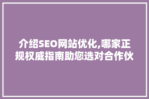 介绍SEO网站优化,哪家正规权威指南助您选对合作伙伴