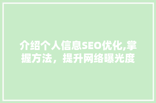介绍个人信息SEO优化,掌握方法，提升网络曝光度