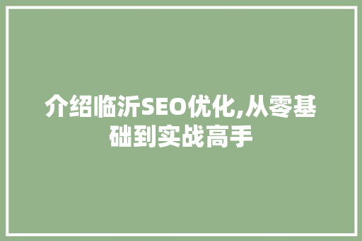 介绍临沂SEO优化,从零基础到实战高手