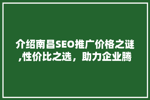 介绍南昌SEO推广价格之谜,性价比之选，助力企业腾飞