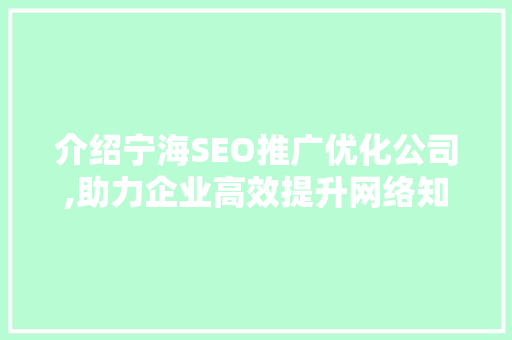 介绍宁海SEO推广优化公司,助力企业高效提升网络知名度