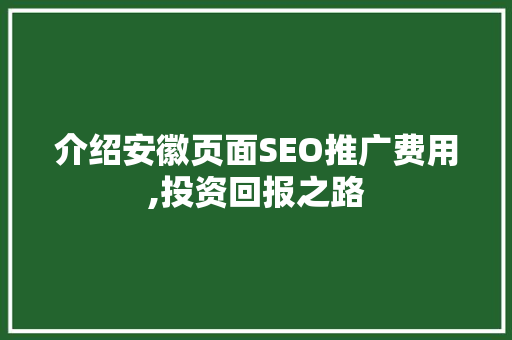 介绍安徽页面SEO推广费用,投资回报之路