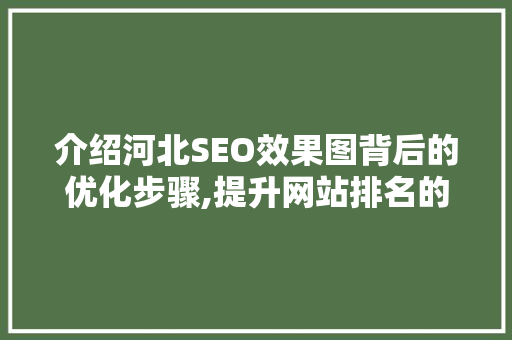 介绍河北SEO效果图背后的优化步骤,提升网站排名的秘密武器