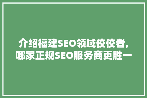 介绍福建SEO领域佼佼者,哪家正规SEO服务商更胜一筹
