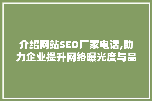 介绍网站SEO厂家电话,助力企业提升网络曝光度与品牌影响力