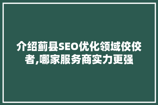 介绍蓟县SEO优化领域佼佼者,哪家服务商实力更强