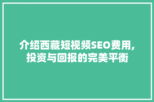 介绍西藏短视频SEO费用,投资与回报的完美平衡