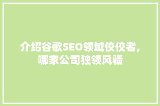 介绍谷歌SEO领域佼佼者,哪家公司独领风骚