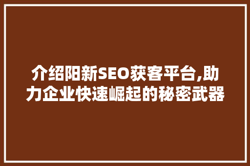 介绍阳新SEO获客平台,助力企业快速崛起的秘密武器