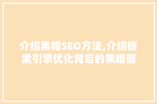 介绍黑帽SEO方法,介绍搜索引擎优化背后的黑暗面