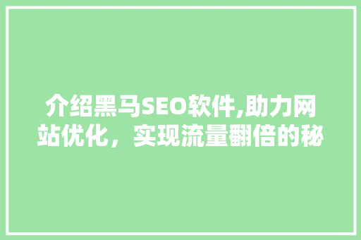 介绍黑马SEO软件,助力网站优化，实现流量翻倍的秘密武器