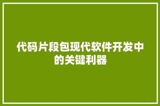代码片段包现代软件开发中的关键利器