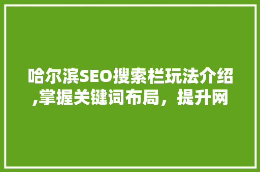 哈尔滨SEO搜索栏玩法介绍,掌握关键词布局，提升网站排名