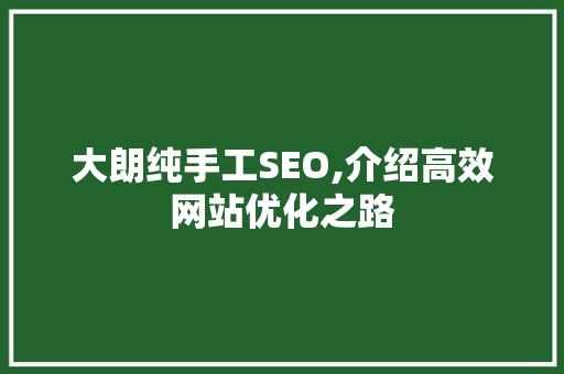 大朗纯手工SEO,介绍高效网站优化之路