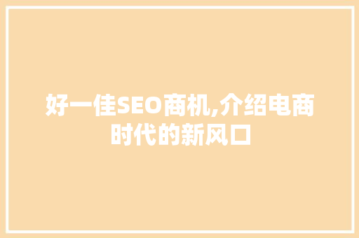 好一佳SEO商机,介绍电商时代的新风口