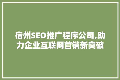 宿州SEO推广程序公司,助力企业互联网营销新突破