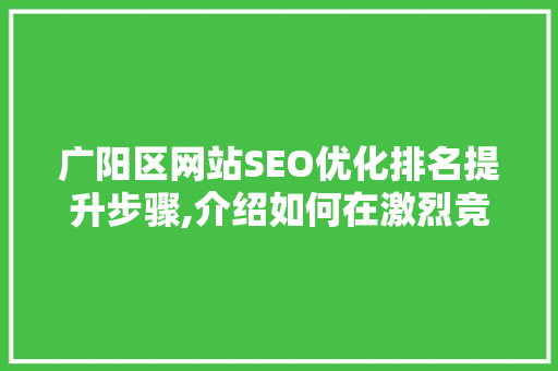 广阳区网站SEO优化排名提升步骤,介绍如何在激烈竞争中脱颖而出