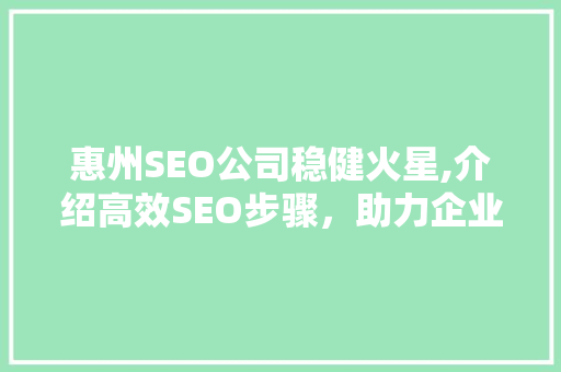 惠州SEO公司稳健火星,介绍高效SEO步骤，助力企业腾飞