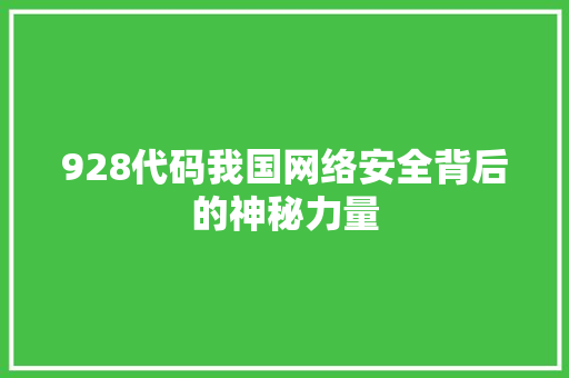 928代码我国网络安全背后的神秘力量