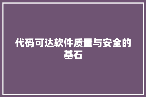 代码可达软件质量与安全的基石