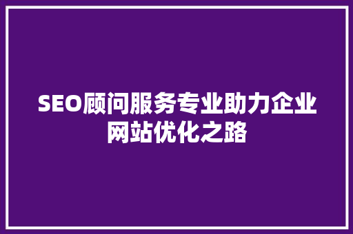SEO顾问服务专业助力企业网站优化之路