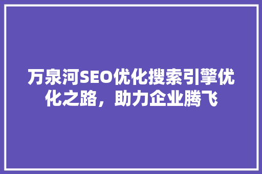 万泉河SEO优化搜索引擎优化之路，助力企业腾飞