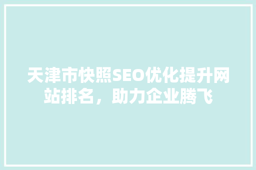 天津市快照SEO优化提升网站排名，助力企业腾飞