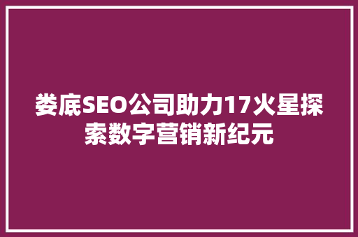 娄底SEO公司助力17火星探索数字营销新纪元