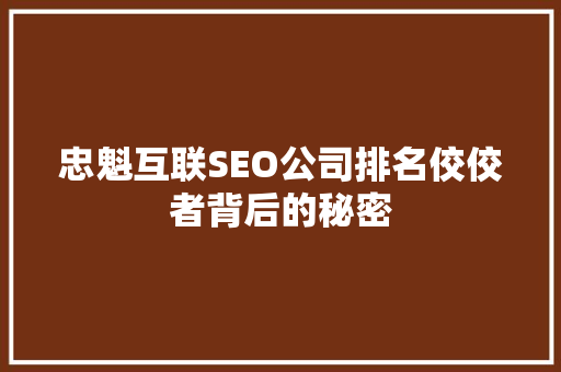 忠魁互联SEO公司排名佼佼者背后的秘密