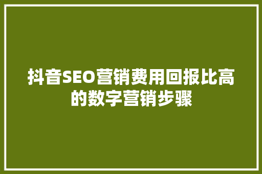 抖音SEO营销费用回报比高的数字营销步骤