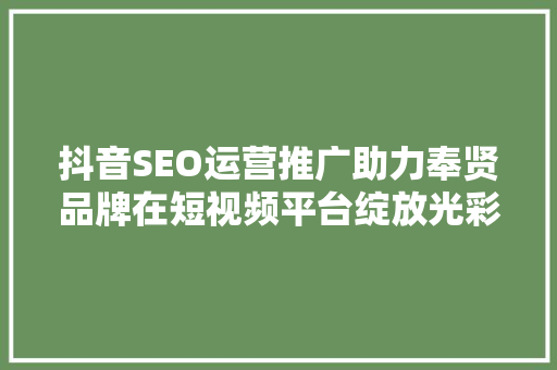 抖音SEO运营推广助力奉贤品牌在短视频平台绽放光彩  第1张