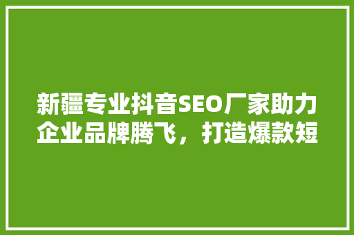 新疆专业抖音SEO厂家助力企业品牌腾飞，打造爆款短视频新步骤
