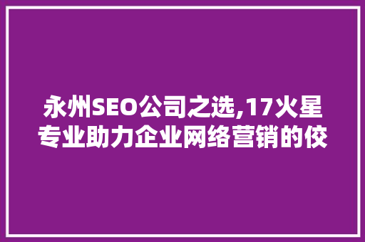 永州SEO公司之选,17火星专业助力企业网络营销的佼佼者