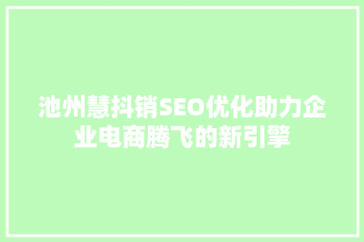 池州慧抖销SEO优化助力企业电商腾飞的新引擎
