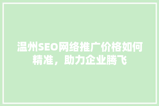 温州SEO网络推广价格如何精准，助力企业腾飞