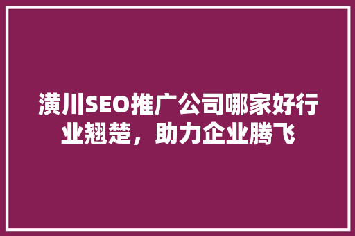 潢川SEO推广公司哪家好行业翘楚，助力企业腾飞