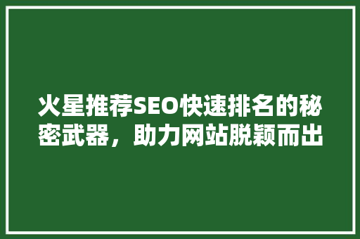 火星推荐SEO快速排名的秘密武器，助力网站脱颖而出