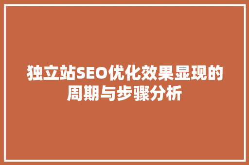 独立站SEO优化效果显现的周期与步骤分析