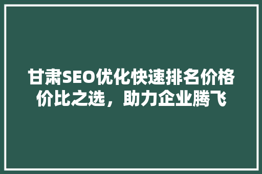 甘肃SEO优化快速排名价格价比之选，助力企业腾飞