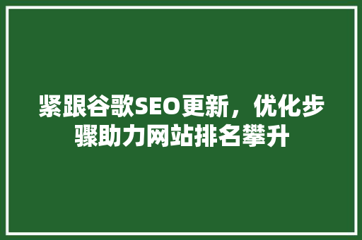 紧跟谷歌SEO更新，优化步骤助力网站排名攀升