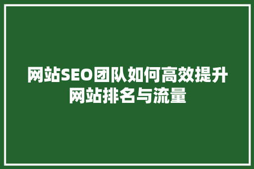 网站SEO团队如何高效提升网站排名与流量