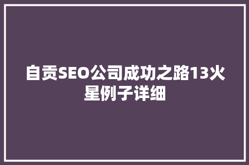自贡SEO公司成功之路13火星例子详细