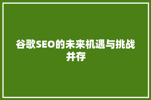谷歌SEO的未来机遇与挑战并存