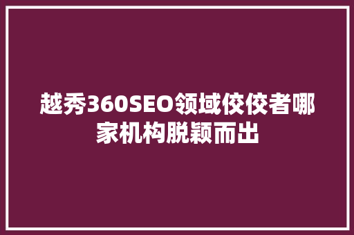 越秀360SEO领域佼佼者哪家机构脱颖而出