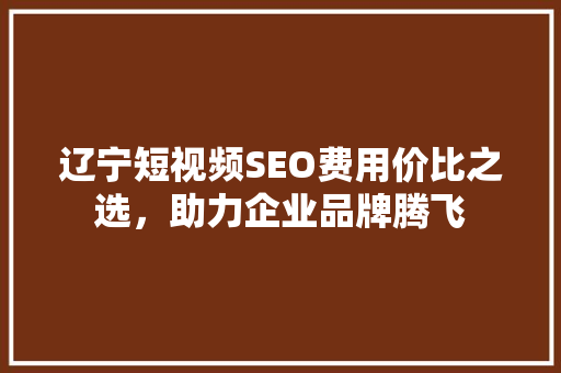 辽宁短视频SEO费用价比之选，助力企业品牌腾飞