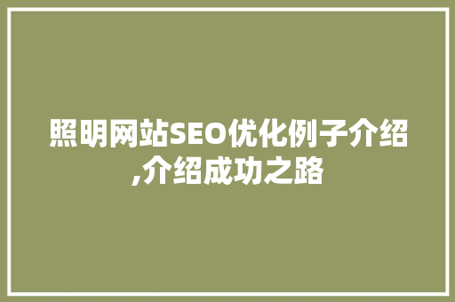 照明网站SEO优化例子介绍,介绍成功之路